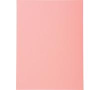 Exacompta 5x 100 chemises Forever® 220 100% recyclé 24x32cm Rose 410003E