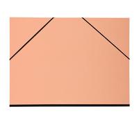 Exacompta 5x Chemise à dessin élastique 52x72 cm pour 50x65 cm couleurs assorties 25690E