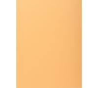 Exacompta 5x Paquet 100 chemises 1 rabat SUPER 160 24x32cm Bulle 348025E