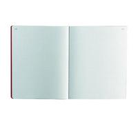 Exacompta 6410E - Piqûre comptable foliotée 80 pages quadrillé 5x5 320×250 mm