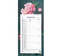 Exacompta - Calendrier mensuel Sophie Adde 13x23cm sur plaque - 2027 | 12 Feuilles détachables, Visuel aléatoire, Carte perforée pour fixation murale, Fabriqué en France
