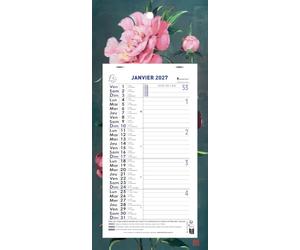 Exacompta - Calendrier mensuel Sophie Adde 13x23cm sur plaque - 2027