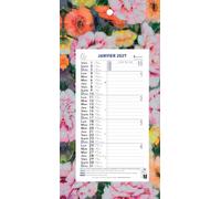 Exacompta - Calendrier mensuel Sophie Adde 15,5x28,5cm sur plaque - 2027 | 12 Feuilles détachables, Visuel aléatoire, Carte perforée pour fixation murale, Fabriqué en France