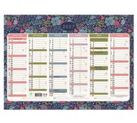 Calendrier - EXACOMPTA - Mini Labo - Semestriel - Décor recto-verso - 43 x 33,5 cm