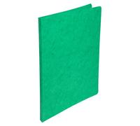 Exacompta Chemise Nature Future sans rabat A4 carte lustrée - 24 x 32 cm - Vert