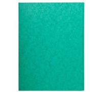 Chemise simple sans élastique avec 3 rabats carte lustrée 400gm2 - A4 - Vert