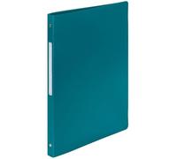 Exacompta Classeur Budget A4 - 4 anneaux - plastifié - dos 2 cm - vert d'eau