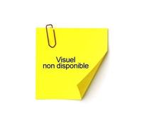 Exacompta Classeur Fiche Bristol De 35 Mm 148 X 210 - 2 Anneaux - Diametre 25 - Polypropylene