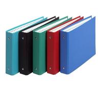 Exacompta Lot de 10 classeurs 2 anneaux 24x16 cm pour fiches bristol 125x200 couleurs aléatoires