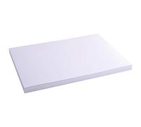 Exacompta Etui 100 Fiches Bristol Unies 297x420 mm Blanc