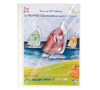 EXACOMPTA Etui carton de 100 pochettes perforées ouverture haut et côté - polypropylène lisse 6/100e - A4 - Cristal