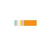 Paquet 100 fiches intercalaires horizontales unies perforées Forever - 105x240mm - Orange