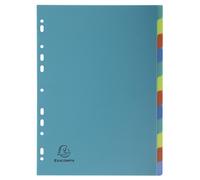 Exacompta Intercalaire neutre A4 en PP recy orever - 12 divisions avec onglets couleurs assortis