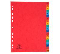 EXACOMPTA Intercalaires carte lustrée avec onglets imprimés alphabétiques 20 positions AZ - A4 - Couleurs assorties