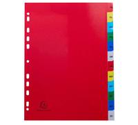 Intercalaires imprimés mensuels PP couleurs Janv-Décembre - A4 - Couleurs assorties