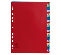Intercalaires imprimés numériques PP couleurs 31 positions - A4 - Couleurs assorties