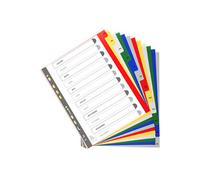 Exacompta Intercalaires mensuels maxi A4+ en polypropylène, 12 divisions - Assortis