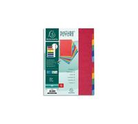Exacompta - Réf. 99H - Intercalaires en véritable carte lustrée rigide 400g/m2 FSC® avec 12 onglets neutres - Page d'indexation fournie -Format à classer A4 -dimensions 22,5x29,7cm -Couleurs assorties