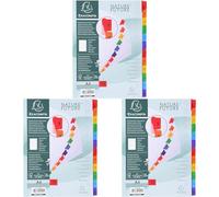 EXACOMPTA Jeu d'intercalaires numérique 12 positions en carte blanche 170g, onglets Mylar®. Format A4 (Lot de 3)