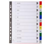Intercalaires imprimés mensuels PP couleurs Janv-Décembre - A4 - Couleurs assorties