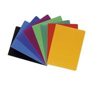 Exacompta Protège-documents OPAK A4 polypropylène souple 40 vues couleurs assorties