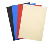 Paquet de 100 couvertures assorties Grain cuir pour reliure A4 Exacompta