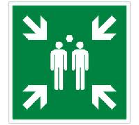 EXACOMPTA Panneau polypropylène non adhésif Point de rassemblement 30x30 cm - Vert