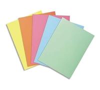 Sous-chemise recy Exacompta 22 x 31 cm couleurs assorties - Paquet de 250