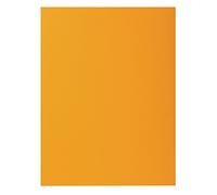 EXACOMPTA Paquet de 10 chemises ROCK''S 210 - 24x32cm - Ocre