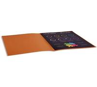 Chemise standard 210 g Exacompta Rock''s 24 x 32 cm havane - Paquet de 100