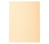 Exacompta Chemises Forever® 170 g 24x32 cm A4 100% recyclé Ange Bleu - Paquet de 100 Bulle