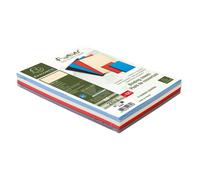 EXACOMPTA Paquet de 100 couvertures Grain cuir pour reliure A4 - Couleurs assorties