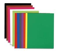 Exacompta Sous-chemises Flash 100% recyclées 80 g/m² 22 x 31 cm Paquet de 100 couleurs assorties