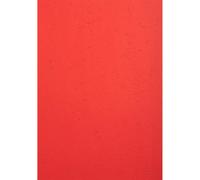 EXACOMPTA Paquet de 25 couvertures grain cuir pour reliure A4 - Couleurs assorties