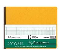 Piqûre Exacompta horizontal 13 colonnes sur 1 page 31 lignes 80p 25x32cm G