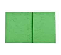 Protège cahier carte lustrée 265g - 24x32 cm - Tilleul
