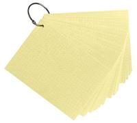 Exacompta - Réf. 10354E - Carton de 19 paquets de 50 Flashcards sous film + anneau - bristol dots perforé - cartes de révisions - 148 x 105mm format A6 - couleur jaune