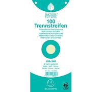 Exacompta 12x 100 fiches intercalaires 105x240mm Vert 13345B