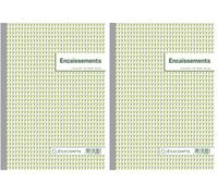 Exacompta - Réf. 13520E - 1 Manifold ENCAISSEMENTS - 50 feuillets numérotés et autocopiants - duplicatas (1 original + 1 copie) - format A4 - certifié FSC - fabriqué en France (Lot de 2)