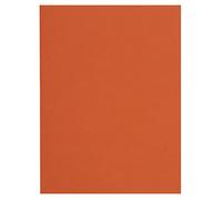 Exacompta - Réf. 150007E - Paquet de 100 sous-chemises FLASH 80 g/m2 aux teintes vives - 100% recy s et certifiées Ange Bleu - dimensions 22 x 31 cm pour format A4 - couleur orange