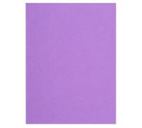 Exacompta - Réf. 160008E - Paquet de 100 chemises rigides FLASH 220 g/m2 aux teintes vives - 100% recyclées et certifiées Ange Bleu - dimensions 24x32 cm pour format A4 - couleur lilas
