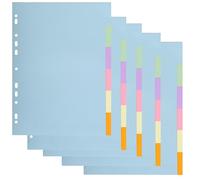 Exacompta - Réf. 1606SE - Pack de 5 jeux d'intercalaires en carte pastel recyclée 170g/m2 avec 6 onglets neutres - Format à classer A4 - Dimensions 22,5 x 29,7 cm - Forever