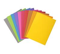 Exacompta Chemises rigides ROCK'S 210 g/m² PEFC 24 x 32 cm (A4) 10 paquets de 10 couleurs assorties