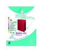 Chemise standard 210 g Exacompta Rock"s 24 x 32 cm - Paquet de 10 - Coloris assortis