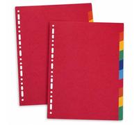 Exacompta - Réf. 2410E - PACK de 2 jeux d'intercalaires 10 onglets neutres - en véritable carte lustrée souple 225g/m2 FSC® - Format à classer A4 maxi - Dimensions 24,5 x 29,7 cm - couleurs assorties