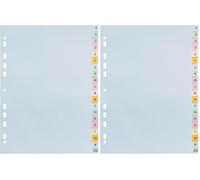 Exacompta - Réf. 2621E - 1 Intercalaire en carte pastel 170g/m2 Forever avec 20 touches imprimées alphabétiques de A à Z - format à classer A4 - dim 22,5x29,7 cm - couleurs assorties pastels