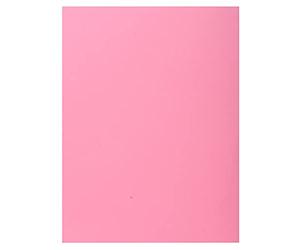 Exacompta - Réf. 339003E - Carton de 5 paquets de 50 chemises rigides avec 1 rabat SUPER 210 g/m² - couleurs pastel - chemises certifiées PEFC™- dim 24 x 32 cm pour format A4 - couleur rose