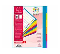 Exacompta Intercalaires Campus 3806E – 25 intercalaires PP rigide 6 onglets A4 Maxi translucides