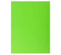 Exacompta - Réf. 415003E - Carton de 250 chemises double poche ROCK''S 210 g/m² - couleurs vives - chemises certifiées PEFC™ - dimensions 24 x 32 cm pour documents format A4 - vert