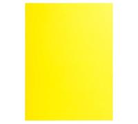 Exacompta 10x 25 chemises Double Poche 210 A4 ou A3 24x32cm Jaune citron 415009E